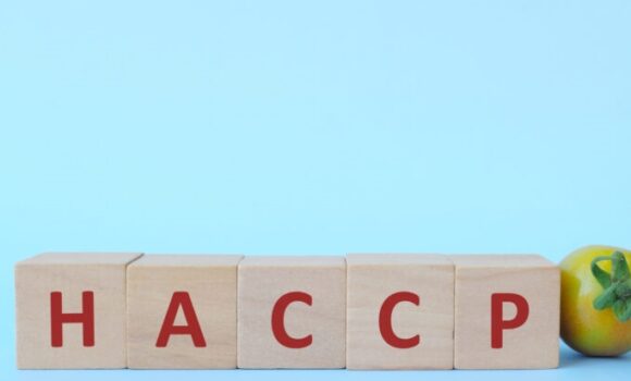 Czym jest system HACCP? Czym jest system HACCP?